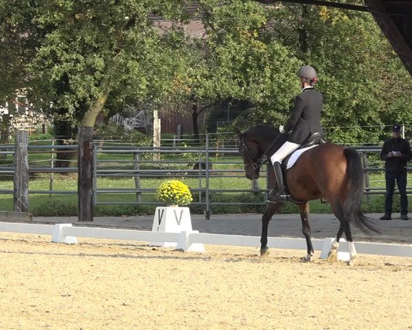 Reitturnier Deitingen 2019