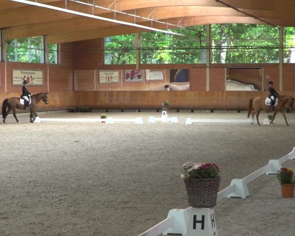 Reitturnier Mönchengladbach-Wickrath 2019