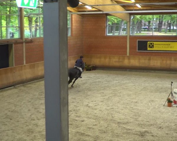 Reitturnier Mönchengladbach-Wickrath 2019
