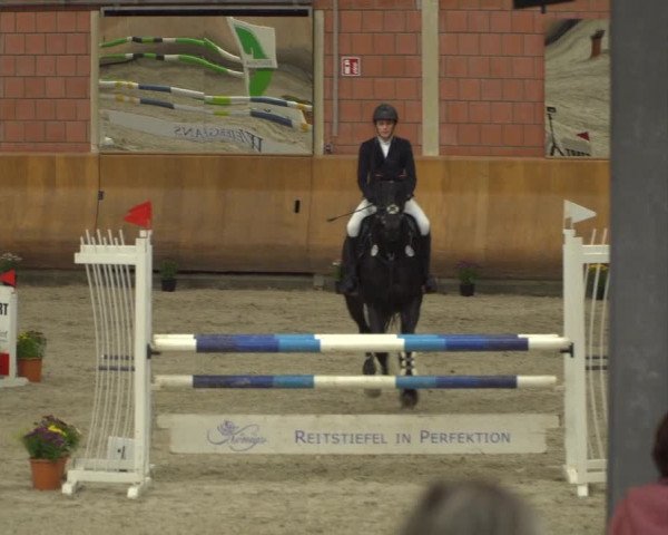 Reitturnier Mönchengladbach-Wickrath 2019