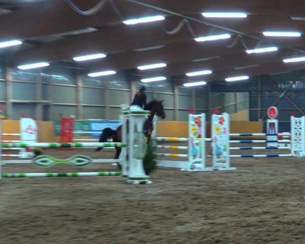 Reitturnier Pausin 2019