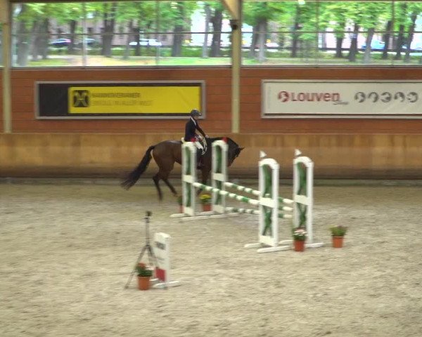 Reitturnier Mönchengladbach-Wickrath 2019