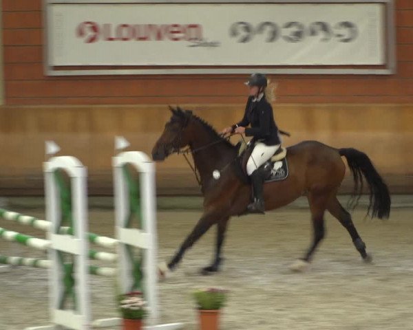 Reitturnier Mönchengladbach-Wickrath 2019