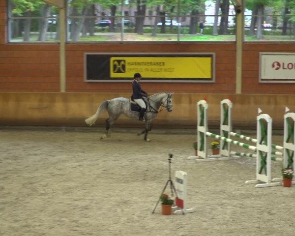 Reitturnier Mönchengladbach-Wickrath 2019