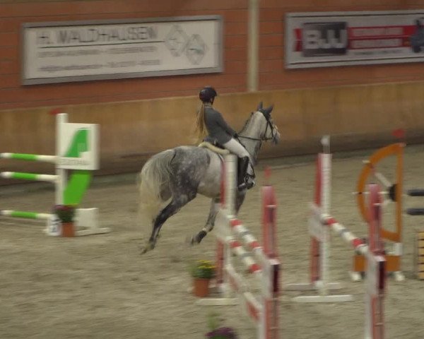 Reitturnier Mönchengladbach-Wickrath 2019