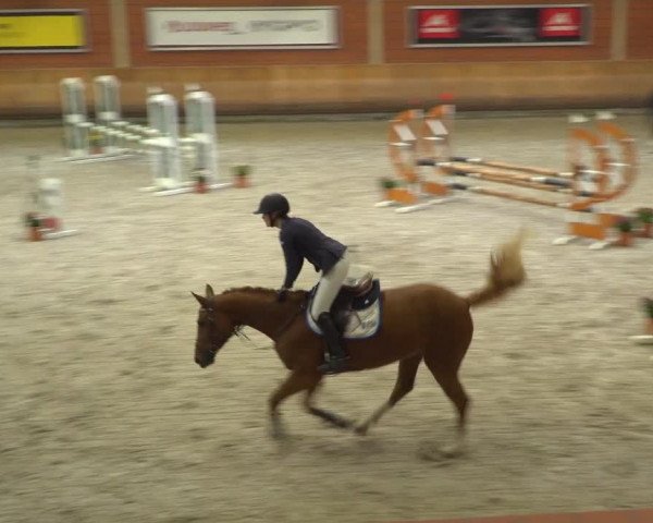 Reitturnier Mönchengladbach-Wickrath 2019