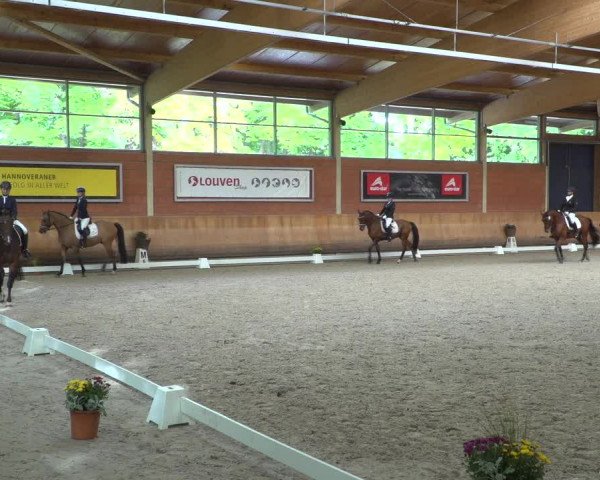 Reitturnier Mönchengladbach-Wickrath 2019