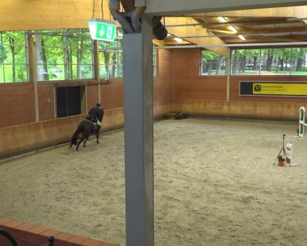 Reitturnier Mönchengladbach-Wickrath 2019