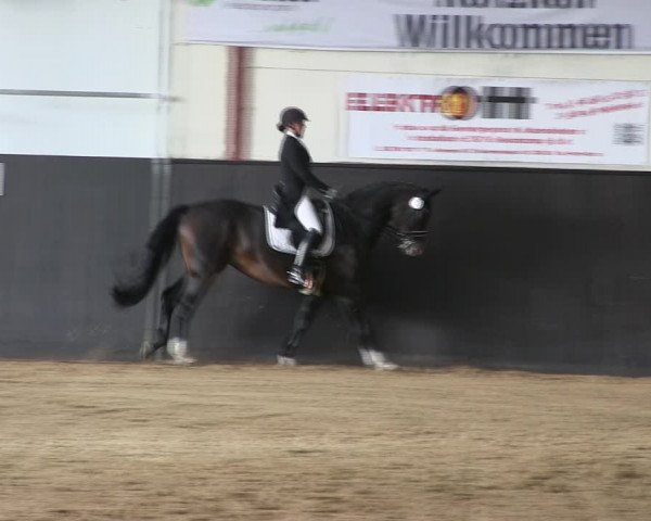 Reitturnier St. Peter Ording 2019