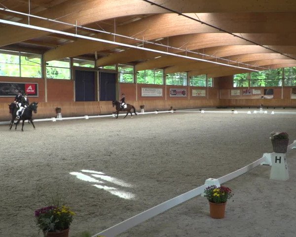 Reitturnier Mönchengladbach-Wickrath 2019