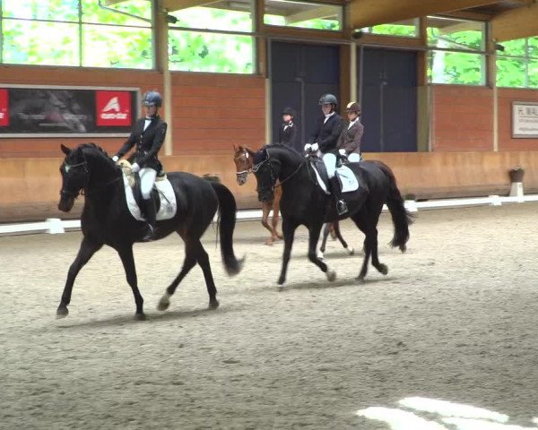 Reitturnier Mönchengladbach-Wickrath 2019
