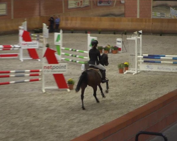 Reitturnier Mönchengladbach-Wickrath 2019