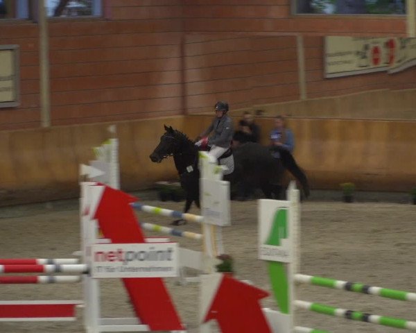 Reitturnier Mönchengladbach-Wickrath 2019