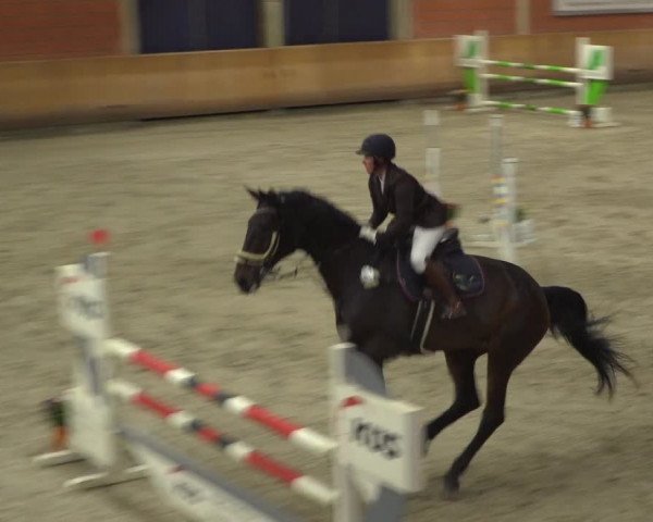 Reitturnier Mönchengladbach-Wickrath 2019