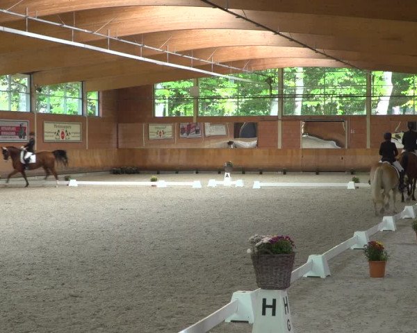 Reitturnier Mönchengladbach-Wickrath 2019