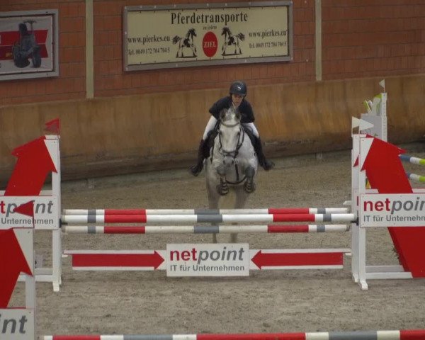 Reitturnier Mönchengladbach-Wickrath 2019
