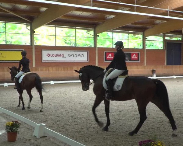 Reitturnier Mönchengladbach-Wickrath 2019