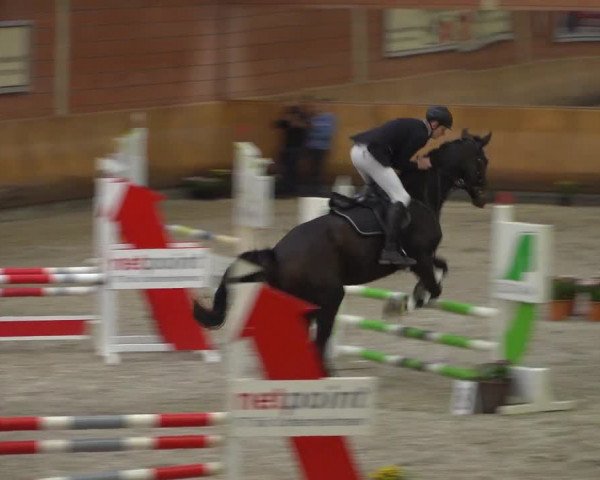 Reitturnier Mönchengladbach-Wickrath 2019