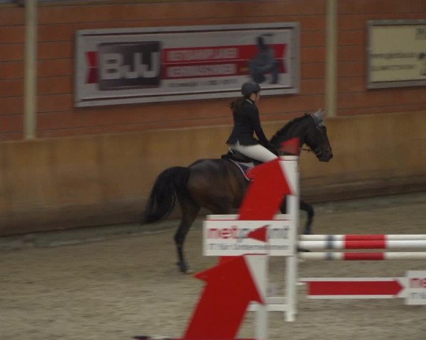 Reitturnier Mönchengladbach-Wickrath 2019