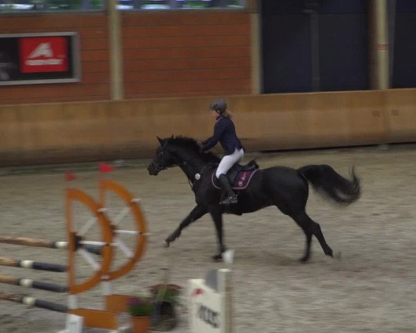Reitturnier Mönchengladbach-Wickrath 2019