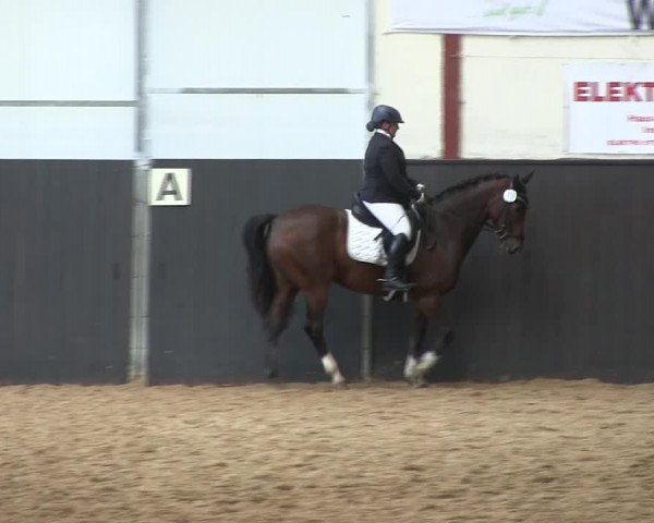 Reitturnier St. Peter Ording 2019