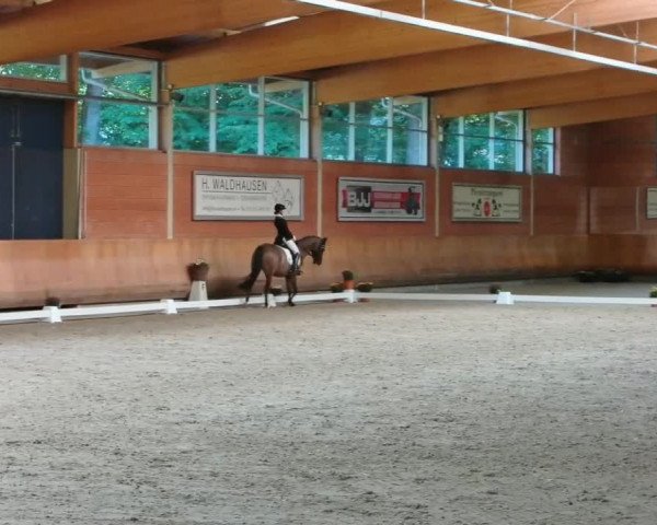 Reitturnier Mönchengladbach-Wickrath 2019