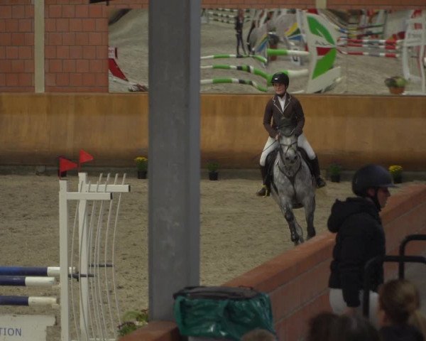 Reitturnier Mönchengladbach-Wickrath 2019