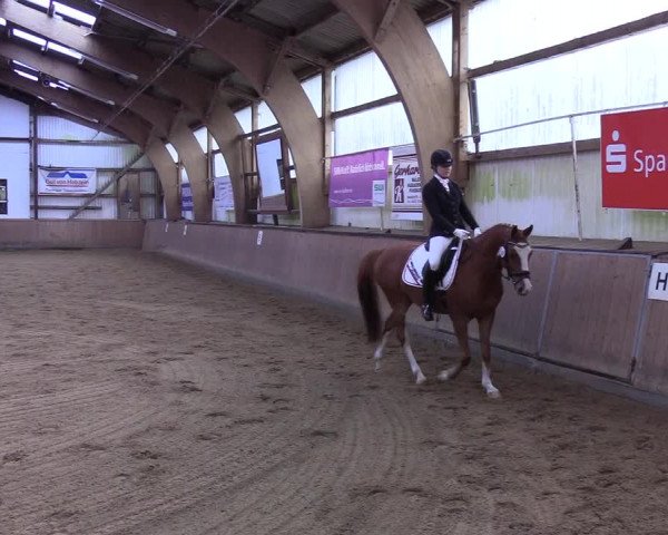 Reitturnier Kellinghusen 2019