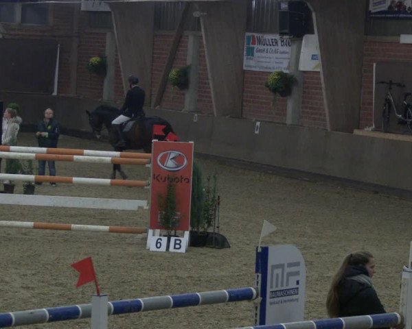 Reitturnier Hüllhorst 2019