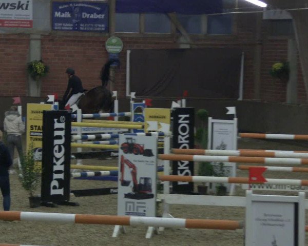 Reitturnier Hüllhorst 2019
