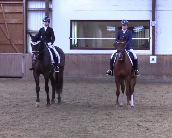 Reitturnier Kellinghusen 2019