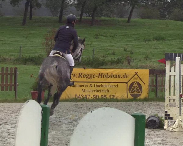 Reitturnier Schülp / Rendsburg 2019
