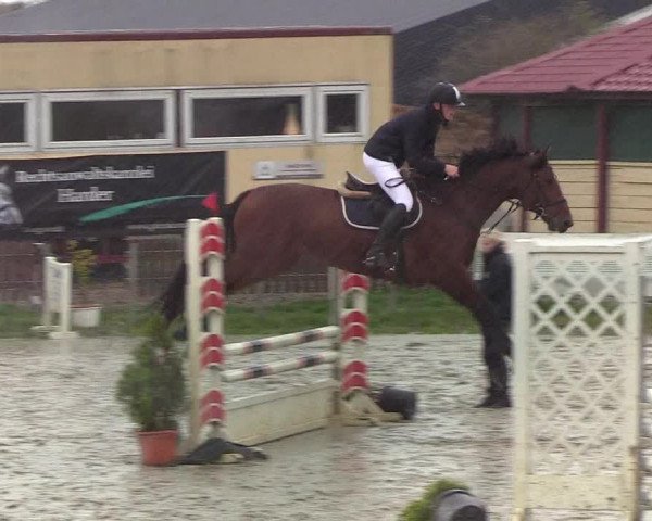 Reitturnier Schülp / Rendsburg 2019