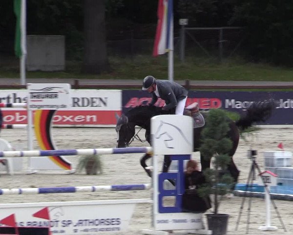 Reitturnier Westergellersen 2021