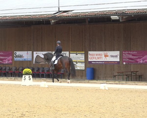 Reitturnier Deitingen 2019