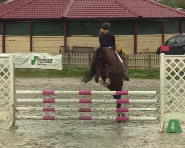 Reitturnier Schülp / Rendsburg 2019