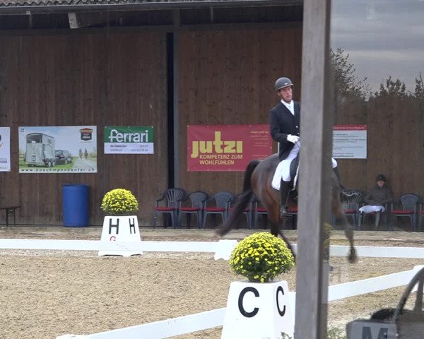 Reitturnier Deitingen 2019