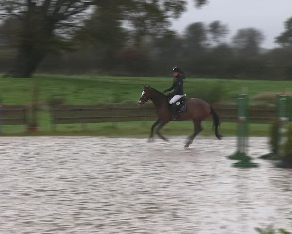 Reitturnier Schülp / Rendsburg 2019
