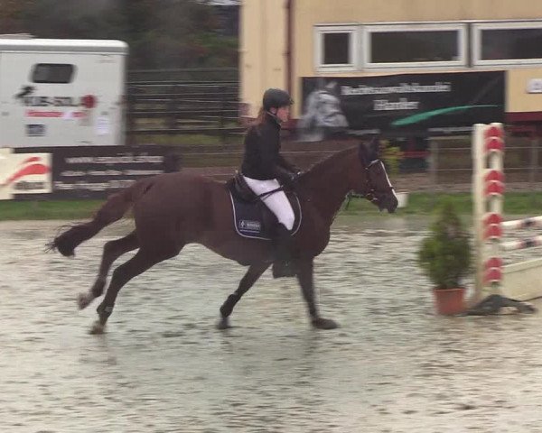 Reitturnier Schülp / Rendsburg 2019