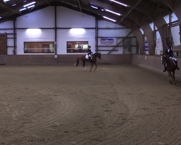 Reitturnier Kellinghusen 2019