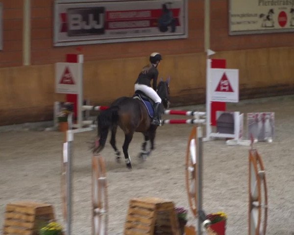 Reitturnier Mönchengladbach-Wickrath 2019