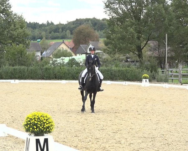 Reitturnier Deitingen 2019