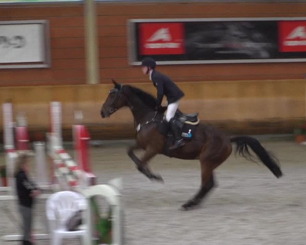 Reitturnier Mönchengladbach-Wickrath 2019