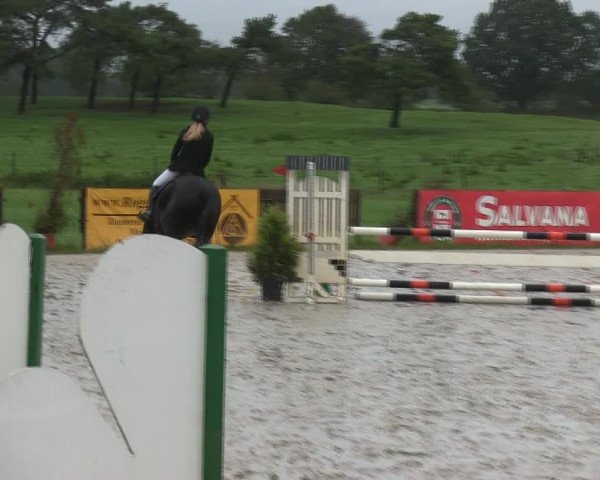 Reitturnier Schülp / Rendsburg 2019