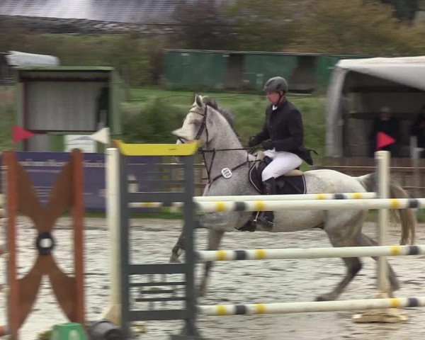 Reitturnier Schülp / Rendsburg 2019