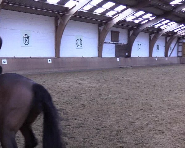 Reitturnier Kellinghusen 2019