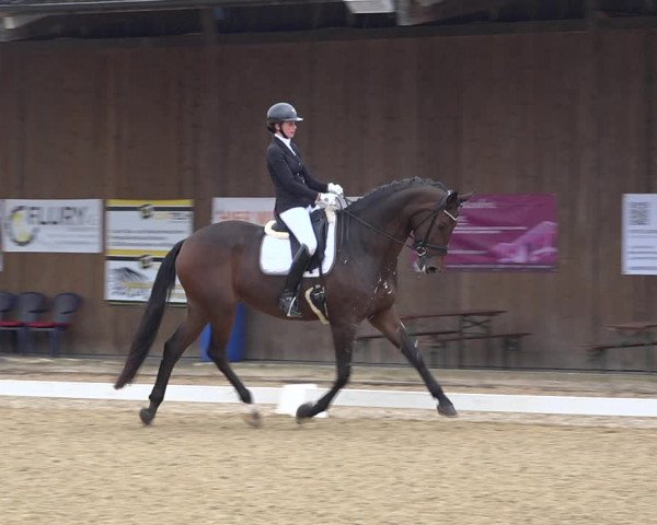 Reitturnier Deitingen 2019