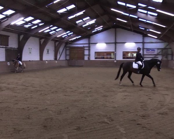 Reitturnier Kellinghusen 2019