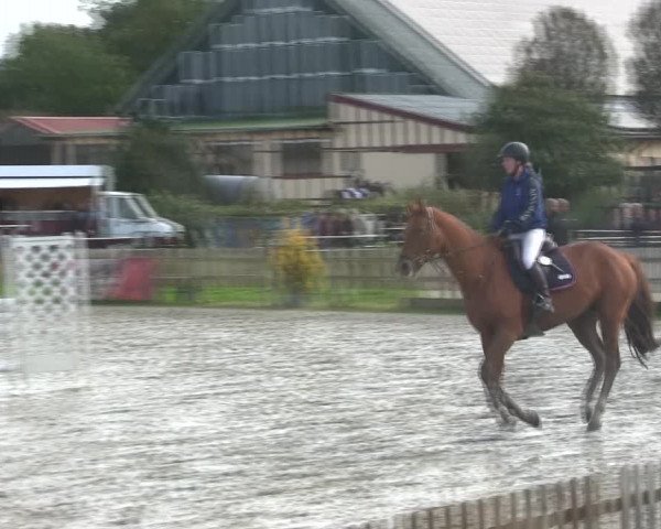 Reitturnier Schülp / Rendsburg 2019