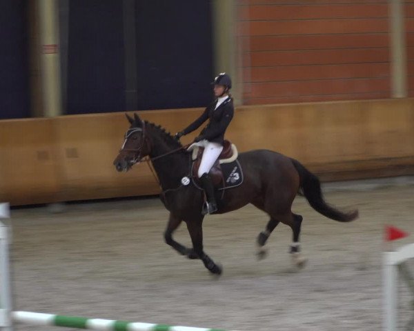 Reitturnier Mönchengladbach-Wickrath 2019